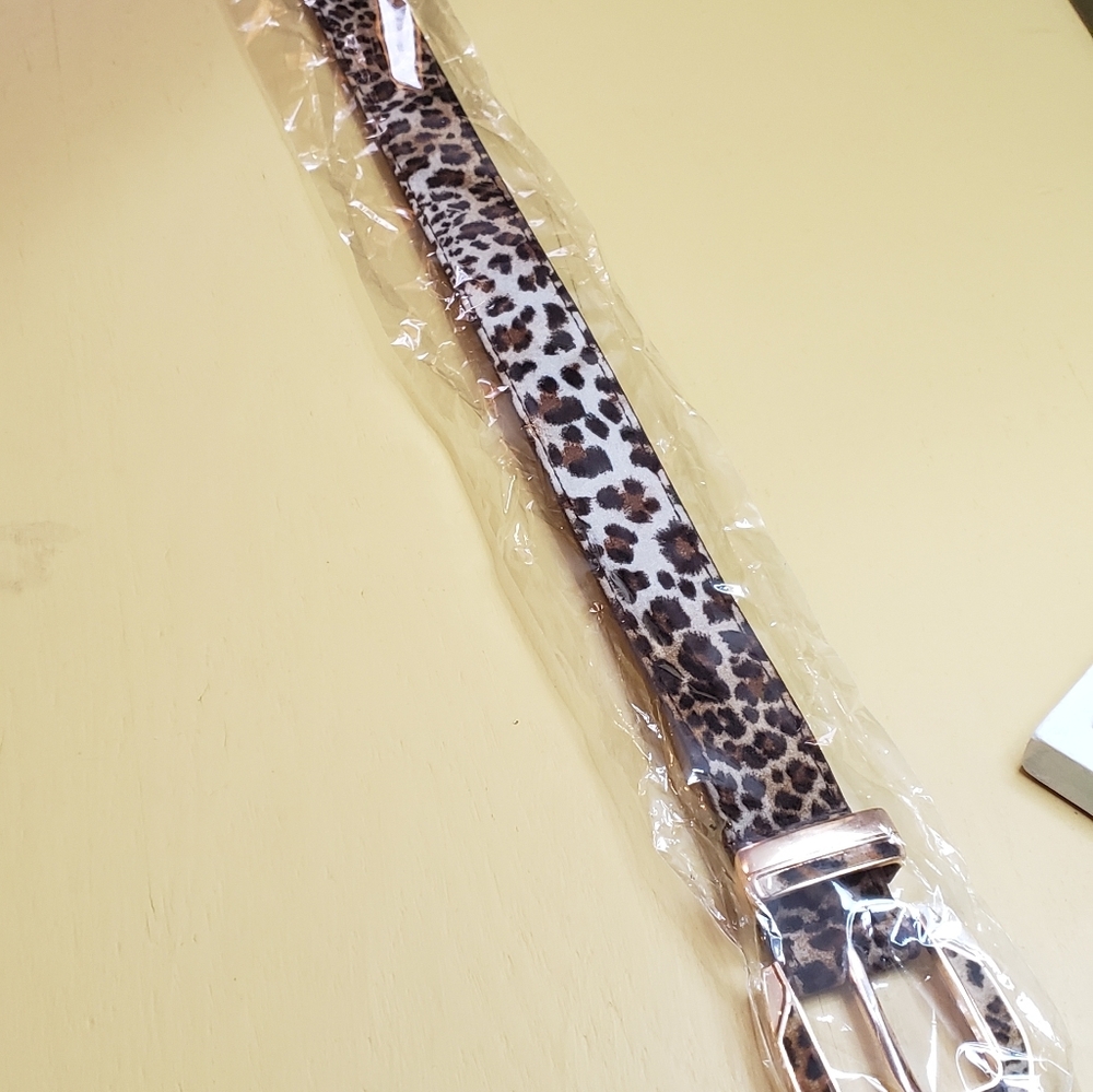 Belt